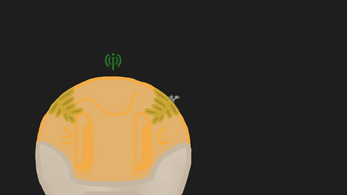 The rover exploring a signal source on Jupiter.